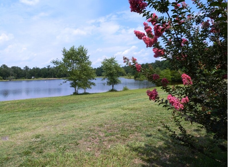 375 Deep Bottom Rd, Wallace, NC for sale Primary Photo- Image 1 of 1