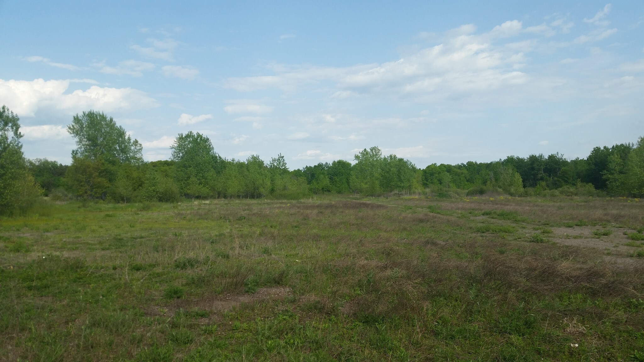 16673 Forest Blvd, Hugo, MN for sale Building Photo- Image 1 of 7