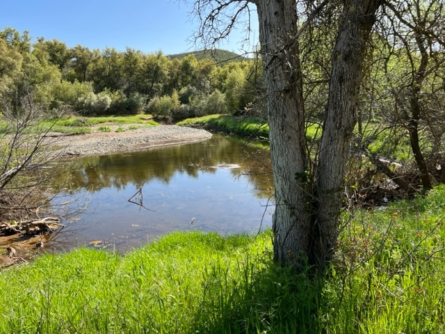 Hwy 49, Mariposa, CA for sale - Building Photo - Image 3 of 63