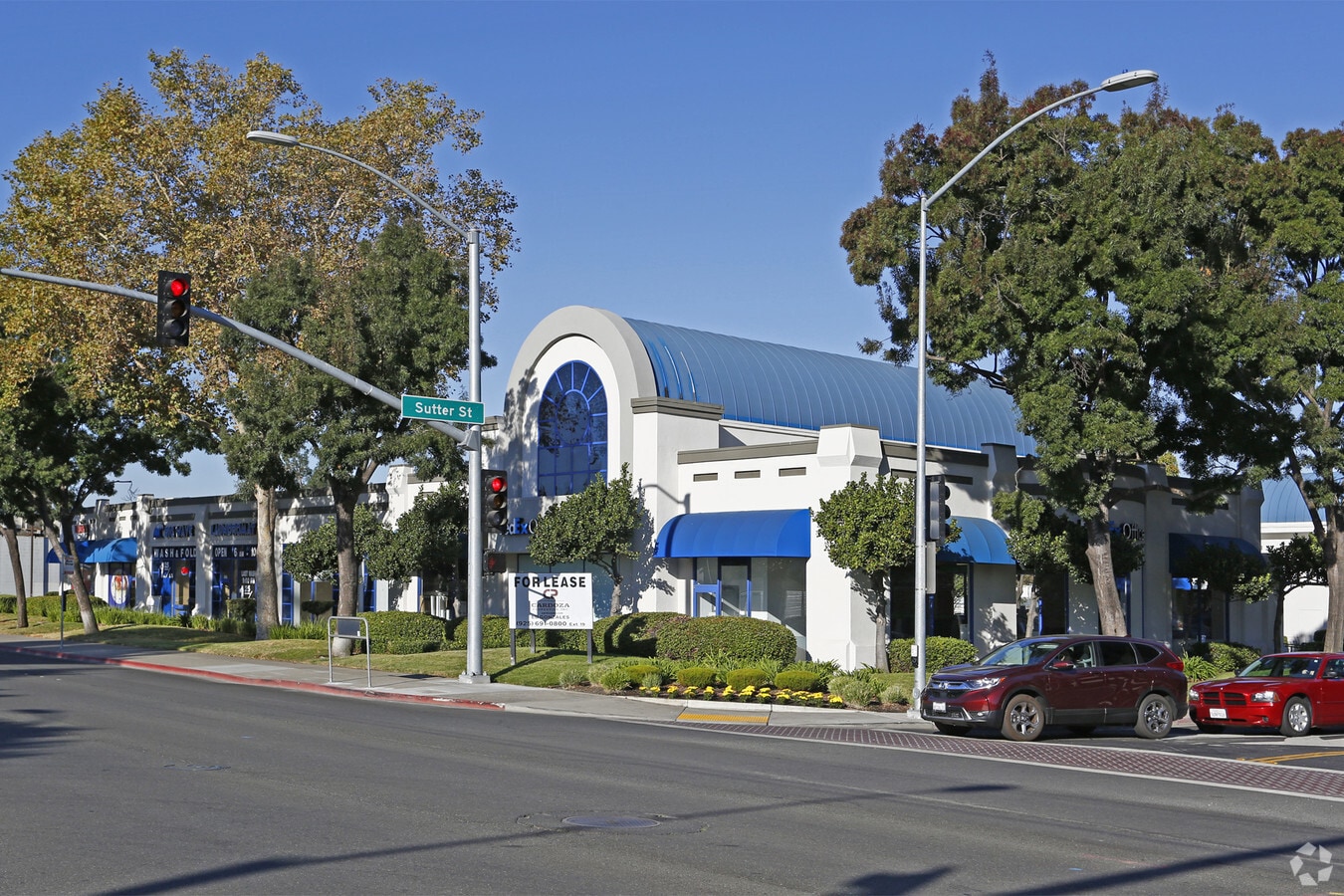 Primary Photo