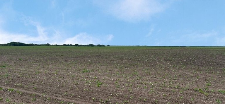 CR 48 40.81 AC, Robstown, TX for sale - Primary Photo - Image 1 of 4