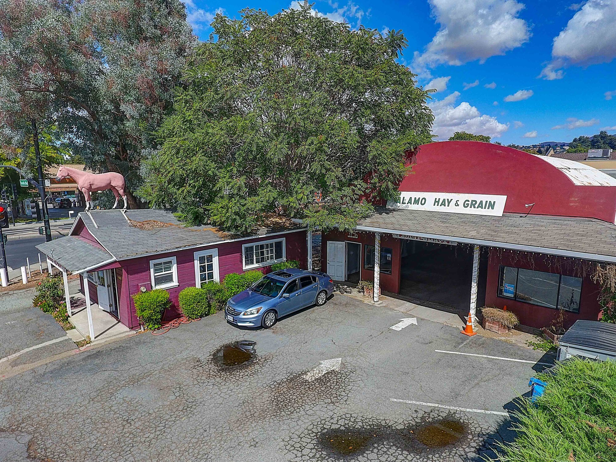 3196 Danville Blvd, Alamo, CA for sale Primary Photo- Image 1 of 1