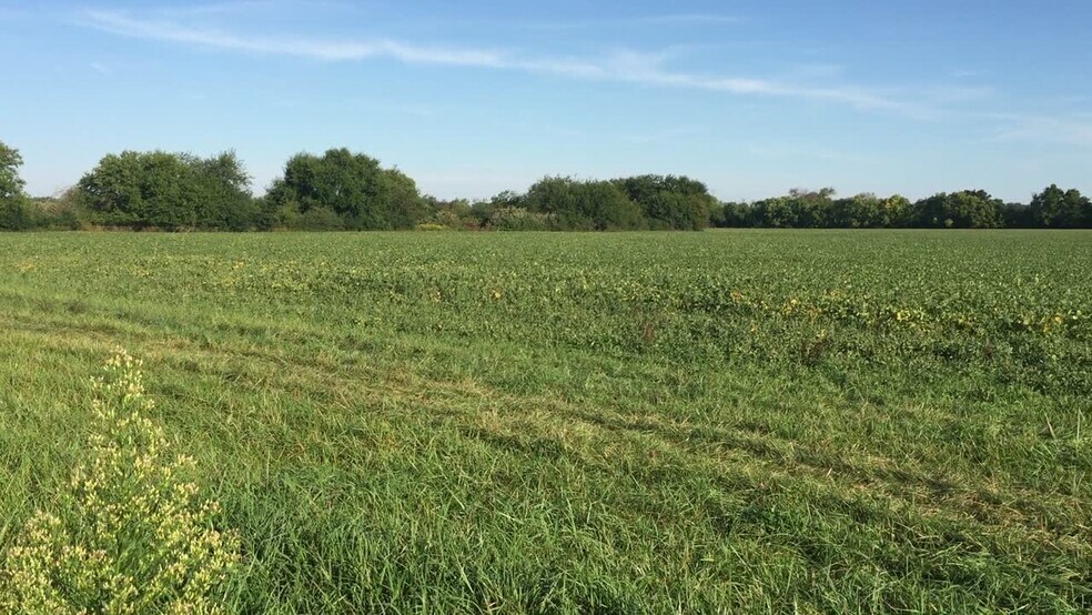 5304 Billings Rd, Castalia, OH 44824 Farm land