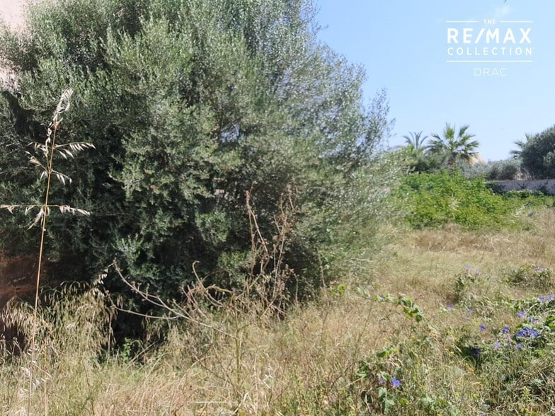 Land in Santanyí, Islas Baleares for sale - Building Photo - Image 2 of 4