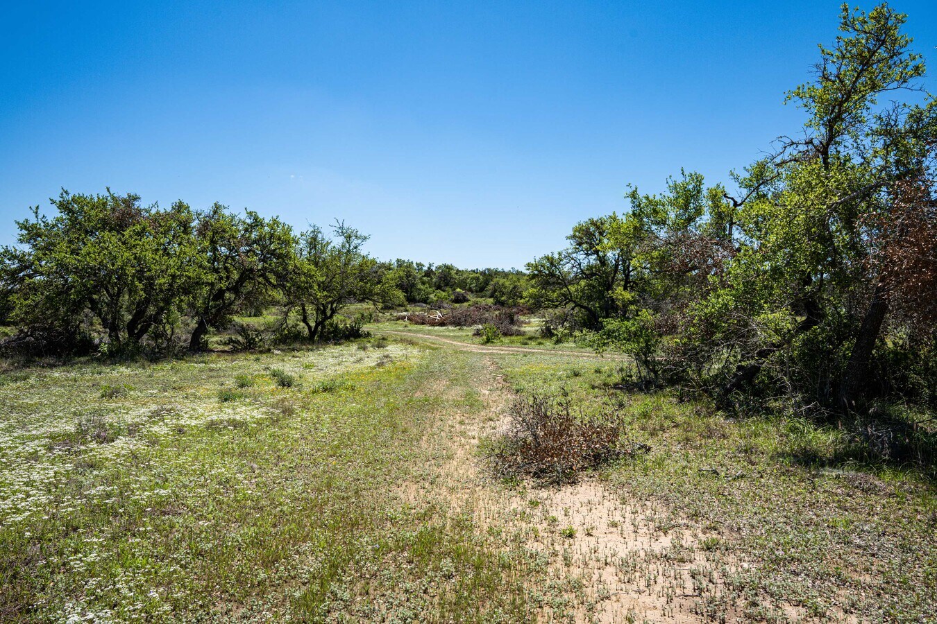 13005 Fitzhugh Rd, Austin, TX 78736