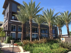 Olympus Corsair - Bar