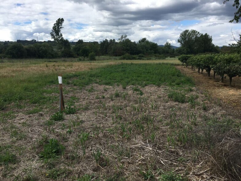 Land in Camponaraya for sale - Building Photo - Image 1 of 3