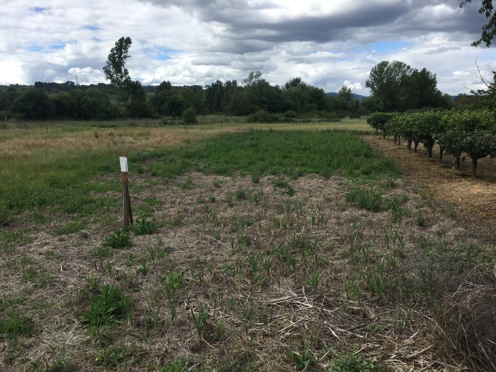 Land in Camponaraya for sale Building Photo- Image 1 of 4