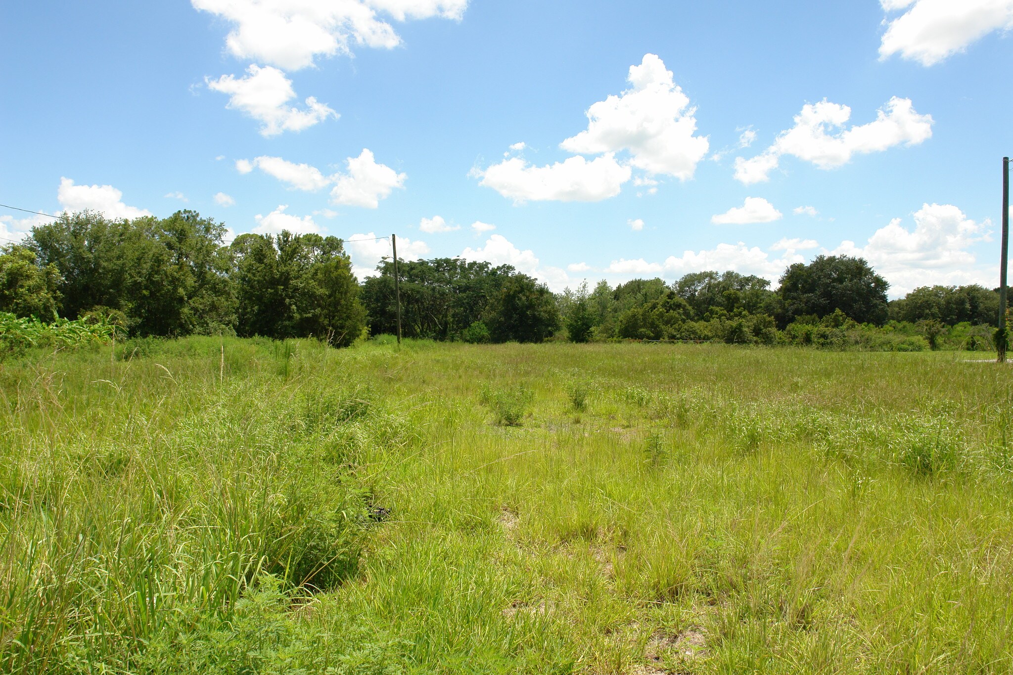W Broad St, Groveland, FL 34736 Land for Sale
