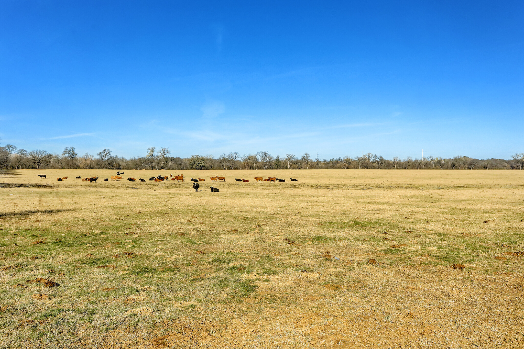 93, Temple, TX for sale Primary Photo- Image 1 of 18