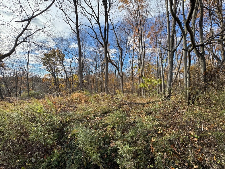 Silver Stream Rd Rd, New Windsor Township, NY for sale - Building Photo - Image 3 of 10