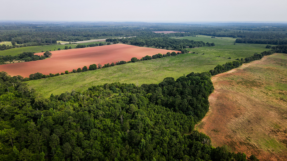 Land in Cuthbert, GA for sale Aerial- Image 1 of 1