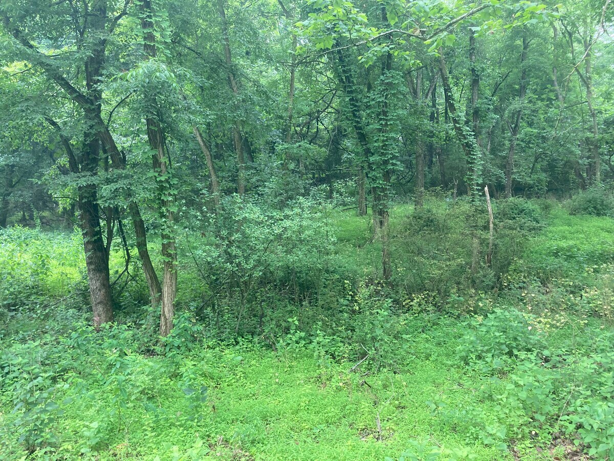 Brooks St, Pittsburgh, PA 15237 Land for Sale