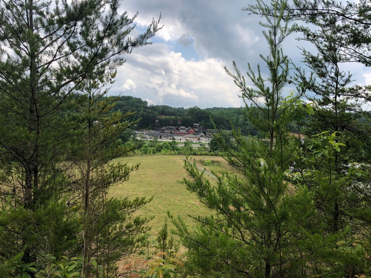 View Photo