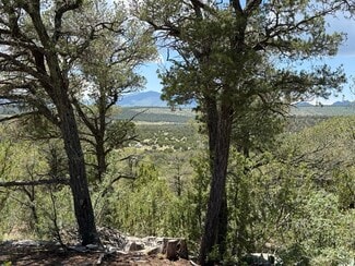 More details for 44 Forest 321 Rd, Estancia, NM - Land for Sale