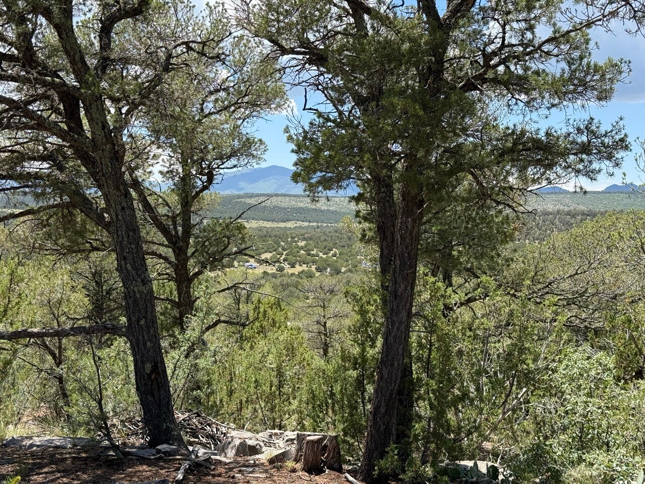 44 Forest 321 Rd, Estancia, NM for sale Primary Photo- Image 1 of 33