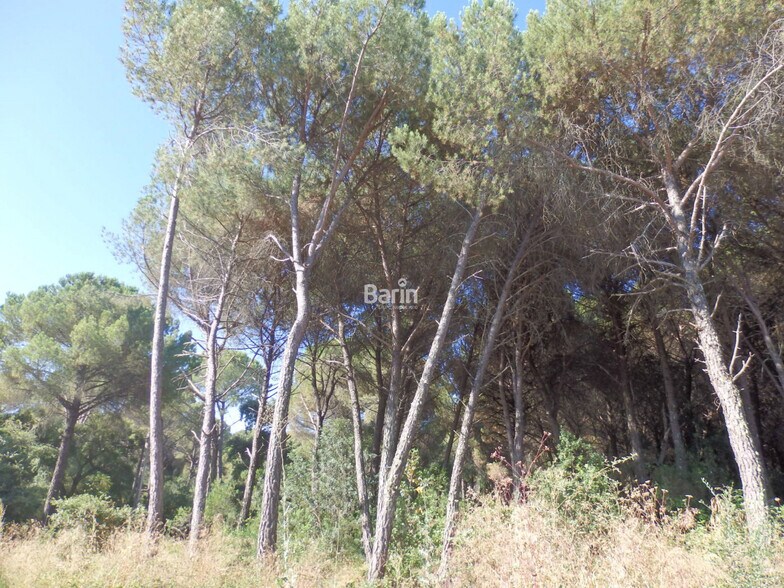 Land in Córdoba for sale - Building Photo - Image 1 of 7