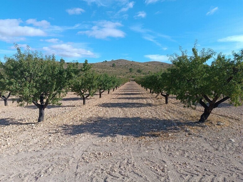 Land in MURCIA for sale - Building Photo - Image 3 of 7