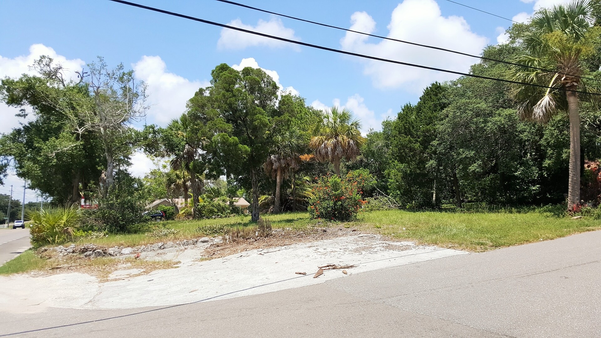 1220 Alt US Hwy 19, Palm Harbor, FL for sale Primary Photo- Image 1 of 1