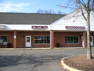 More details for 217 Clarksville Rd, West Windsor, NJ - Retail for Lease