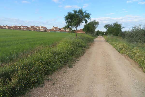 Land in Pozuelo del Rey, Madrid for sale - Other - Image 1 of 2