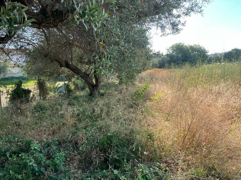 Land in Cambrils, Tarragona for sale - Building Photo - Image 2 of 5