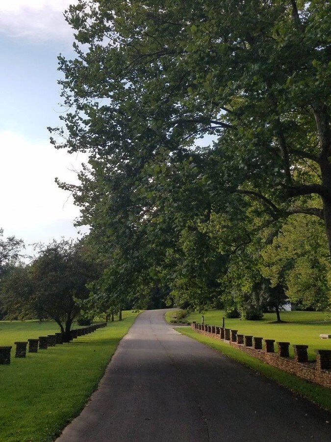 133 White Sulphur Springs Rd, Mount Airy, NC 27030