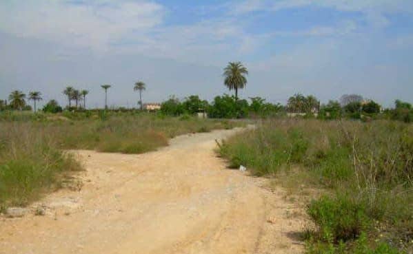 Avinguda Bressol de la Taronja, 20, Carcaixent, Valencia for sale - Building Photo - Image 1 of 4