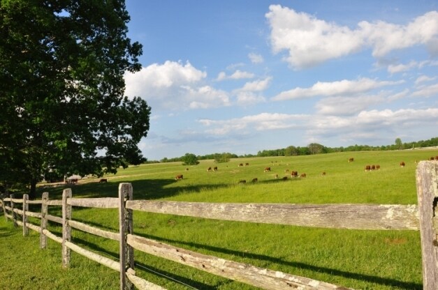 2586 Grandview Rd, Beaver, WV for sale - Primary Photo - Image 1 of 1