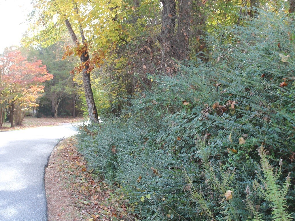 7793 Church Ln, Toano, VA 23168