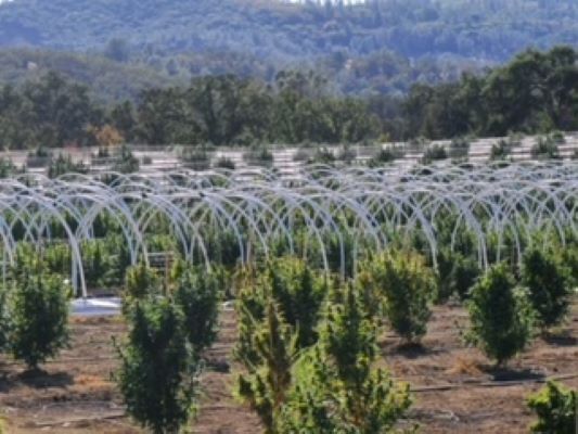 11474 Spruce Grove Rd, Lower Lake, CA for sale Other- Image 1 of 1