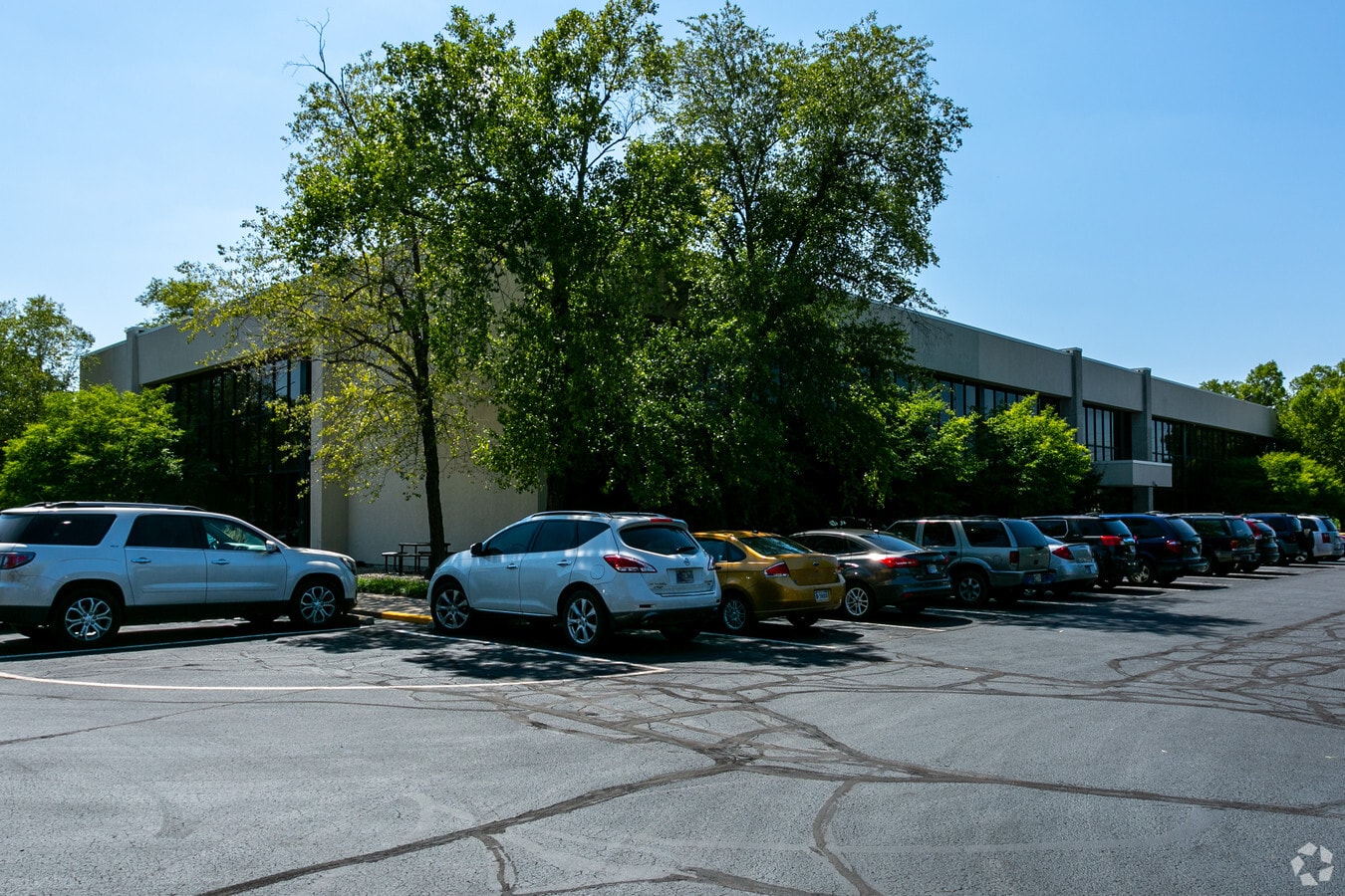 Primary Photo