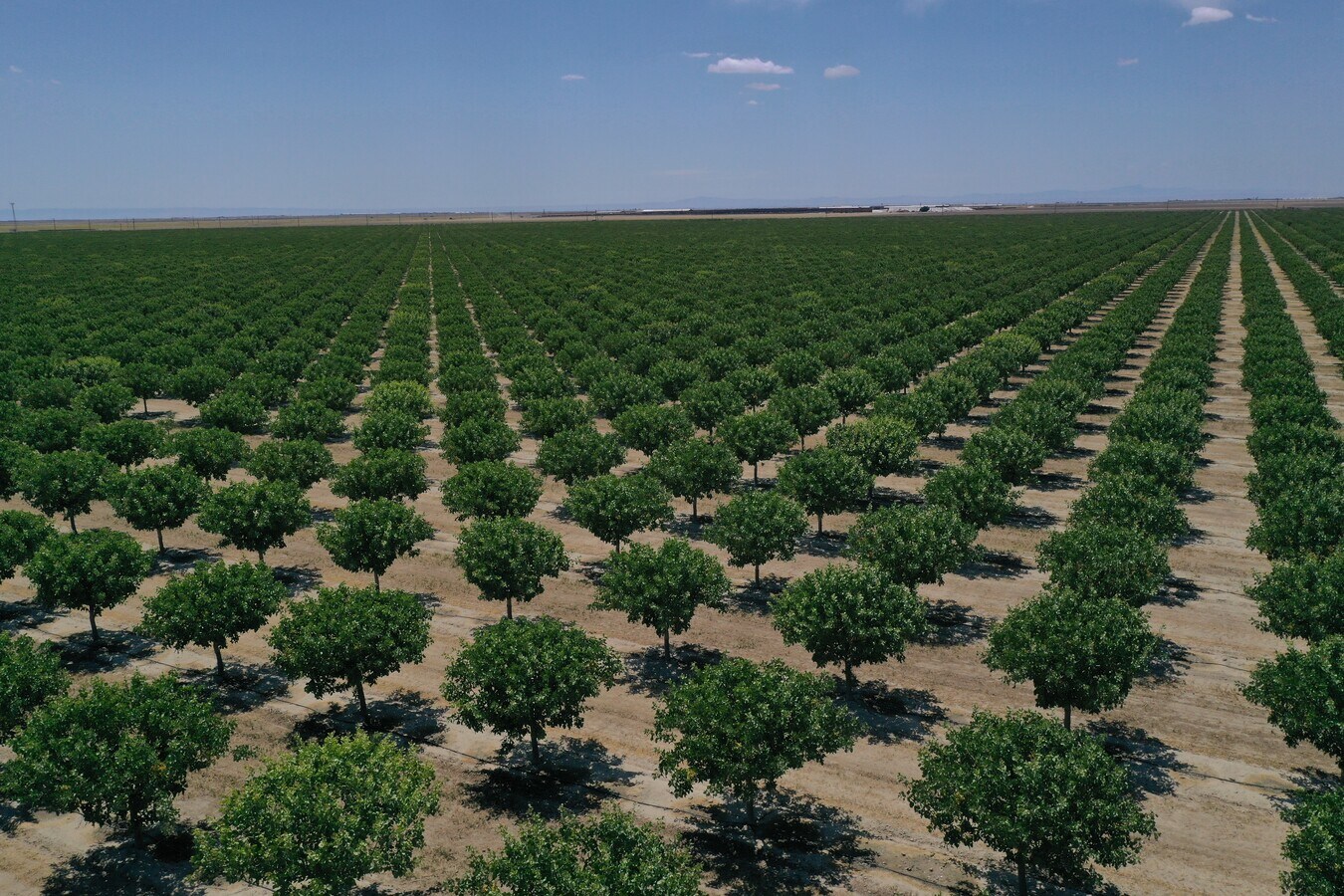 0 Avenue 120, Corcoran, CA 93212