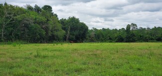 More details for 16787 148th Terr Rd, Fort Mc Coy, FL - Land for Sale