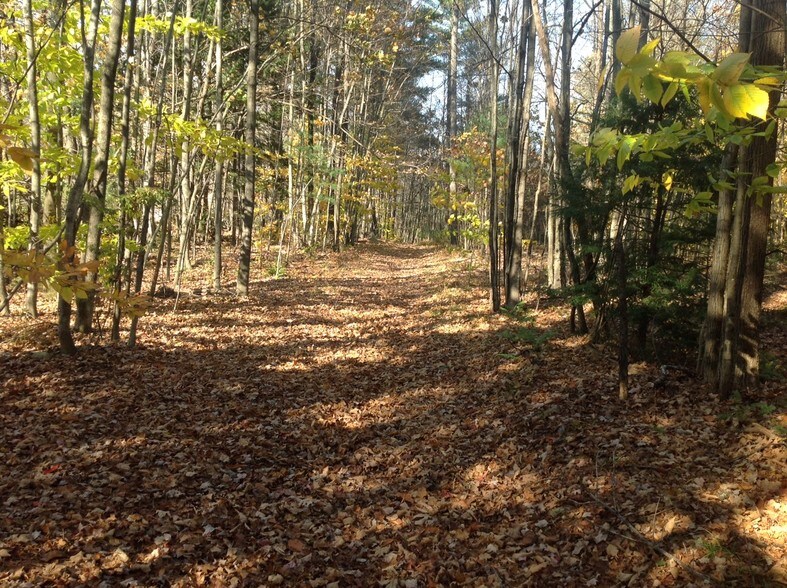 Bog Rd, Goffstown, NH 03045