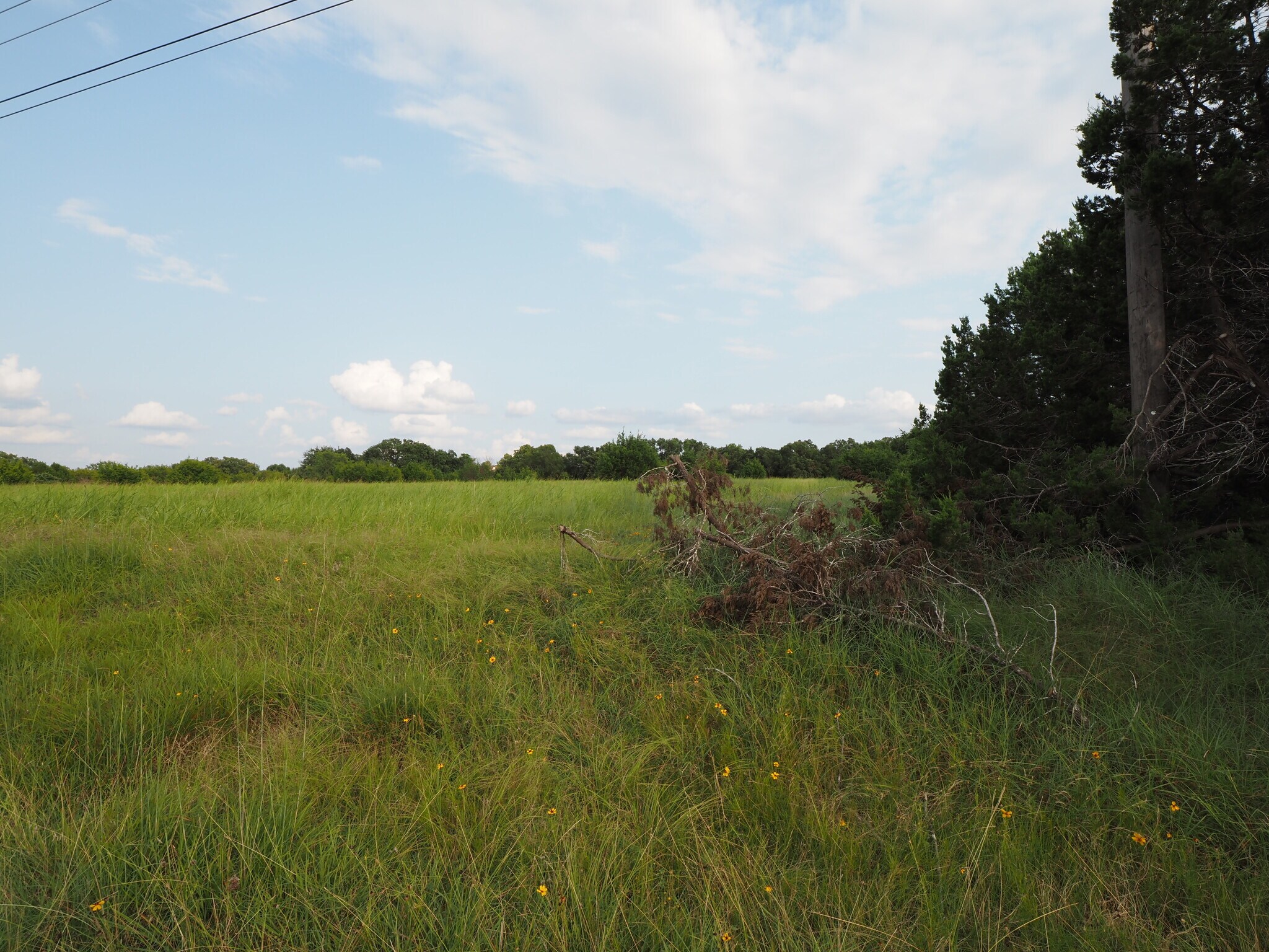 206 Meadow Dr, Georgetown, TX for sale Primary Photo- Image 1 of 1