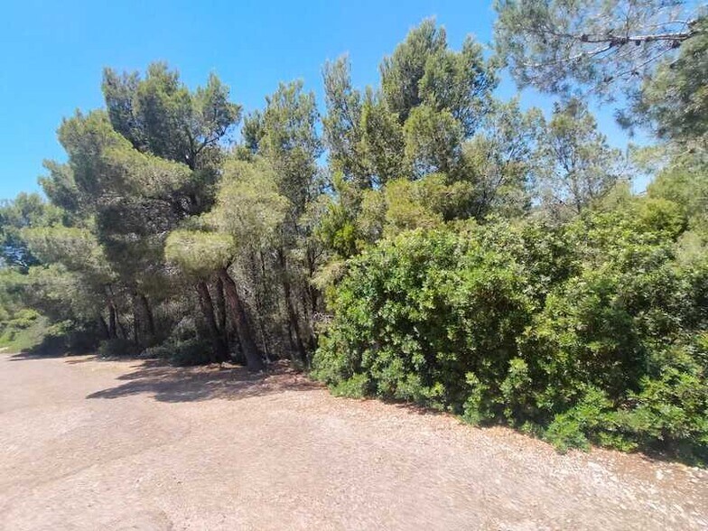 Land in Alcalà de Xivert for sale - Building Photo - Image 2 of 9