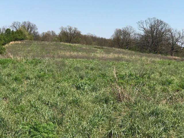 5419 Elmore St, Springdale, AR for sale Other- Image 1 of 1