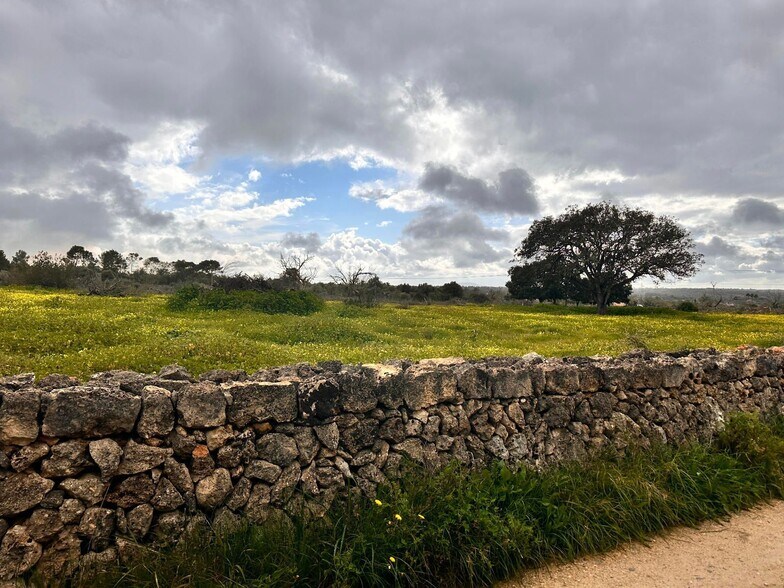 Land in Sineu for sale - Building Photo - Image 3 of 14