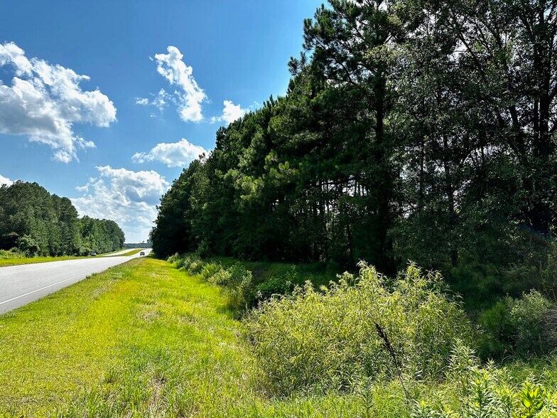 US Hwy 64, Jamesville, NC 27846 Daniels Tract 4