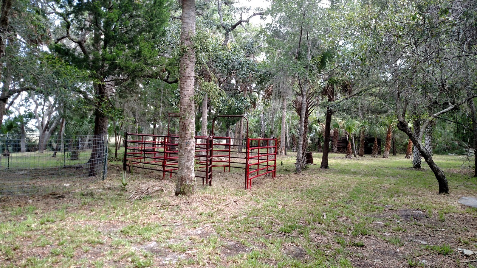 View Photo