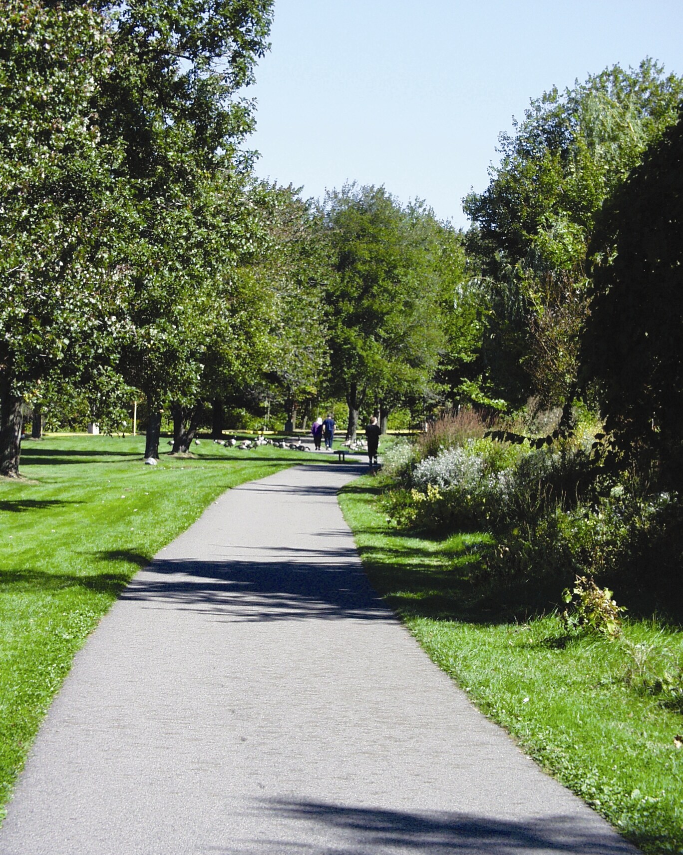 607 North Ave, Wakefield, MA 01880 Office for Lease