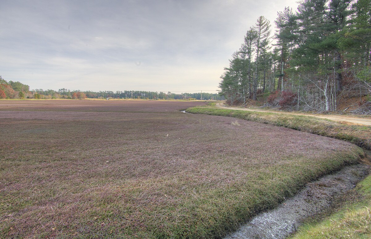 0 Silva St, Carver, MA 02330