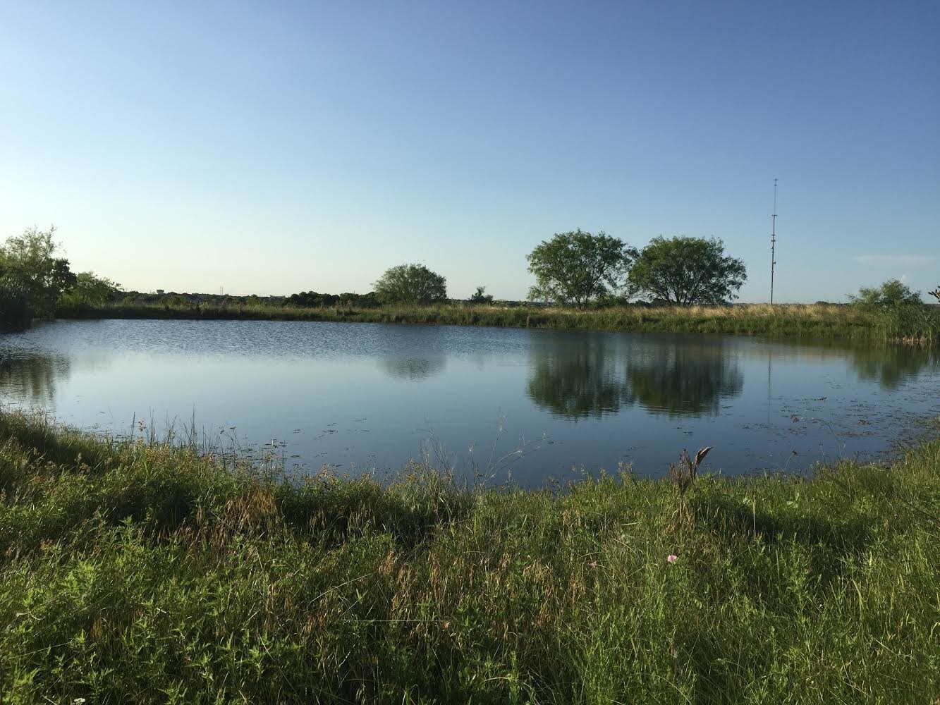 1400 Hillside Ter, Buda, TX for sale Other- Image 1 of 1