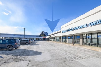 More details for 25520 S Pheasant Ln, Channahon, IL - Retail for Lease