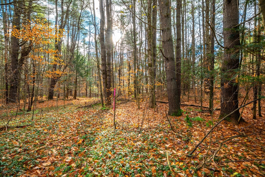 40 E Putney Brook Rd, Putney, VT for sale - Interior Photo - Image 2 of 31