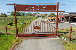 Lone Buffalo Vineyards - Vineyard