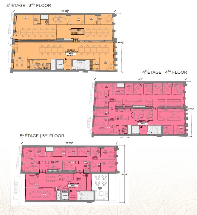 460 Rue Mcgill, Montréal, QC for lease Floor Plan- Image 1 of 1