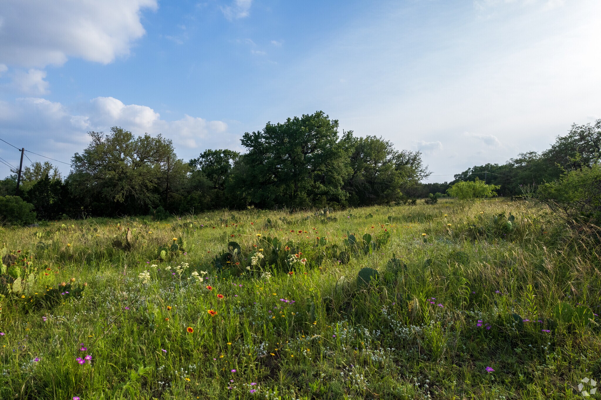 US Hwy 281 & Park Road 4, TX 78611 Brownlee Ranch