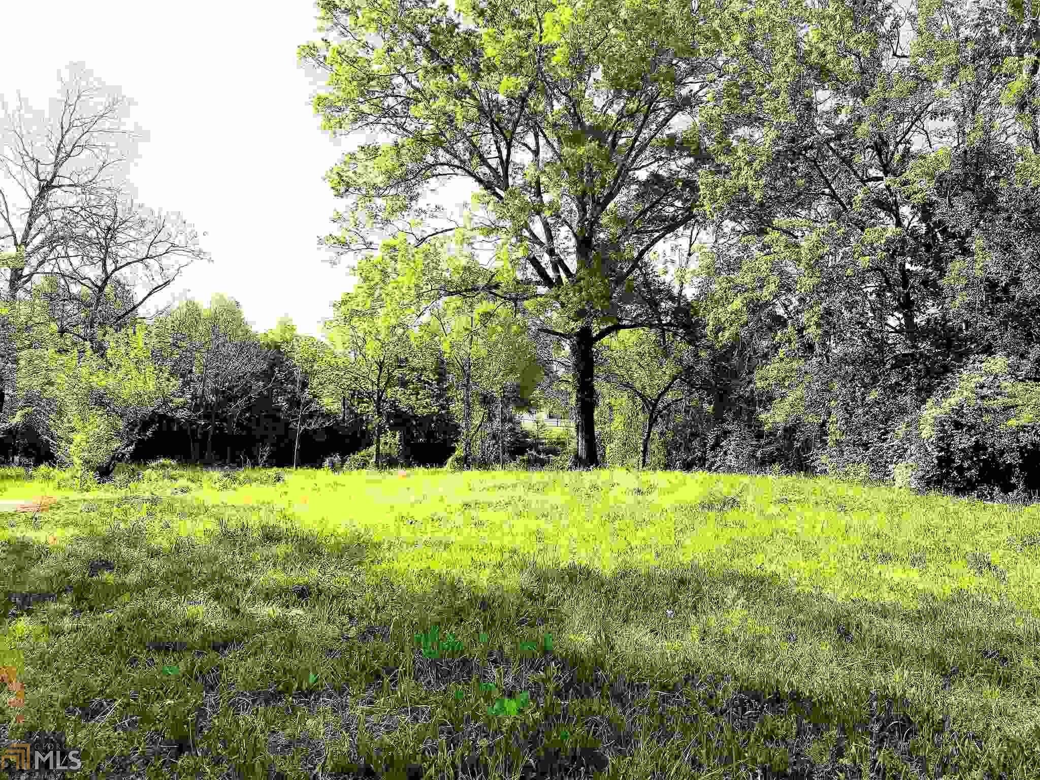 510 Greenville St, Lagrange, GA for sale Other- Image 1 of 1